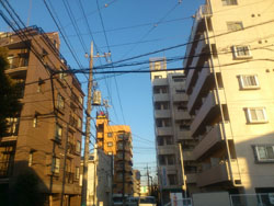 遠目の外観