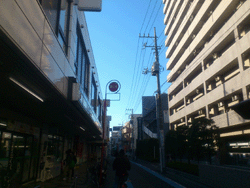 遠目の外観