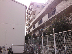 東側バルコニー