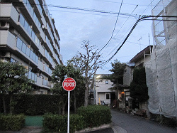 南向き