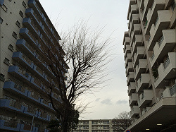 外観2