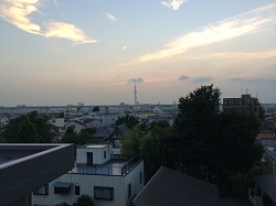 眺望