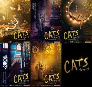 CATS (3)