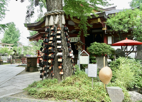 銀杏